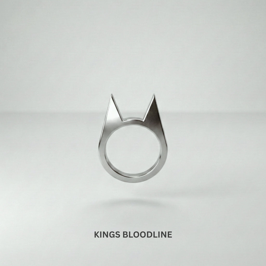 Batman_self_defence_rings steel double edge front view