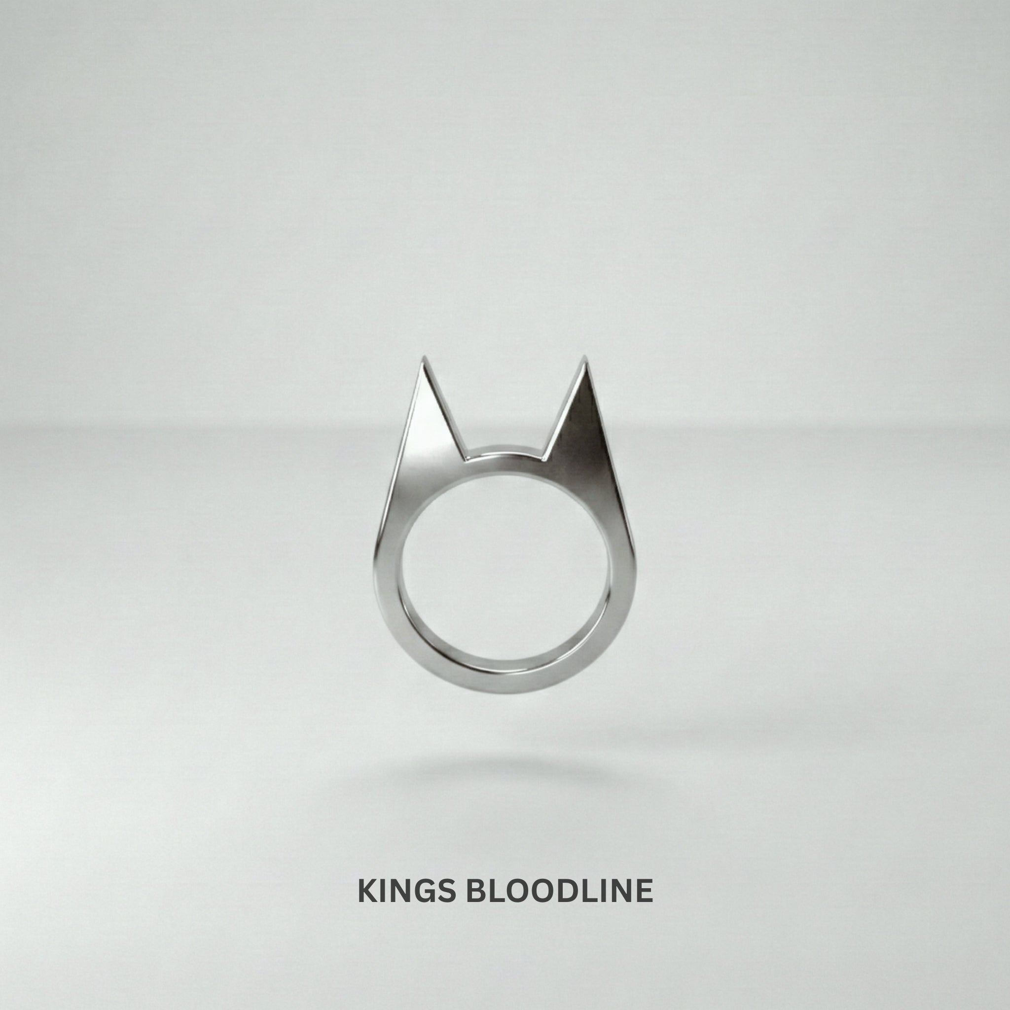 Batman_self_defence_rings steel double edge front view